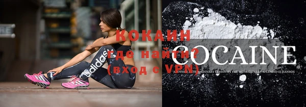 молекула духа Алексин
