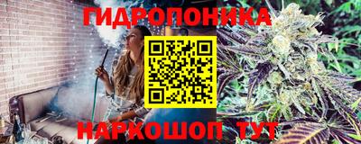 дмт Пыть-Ях