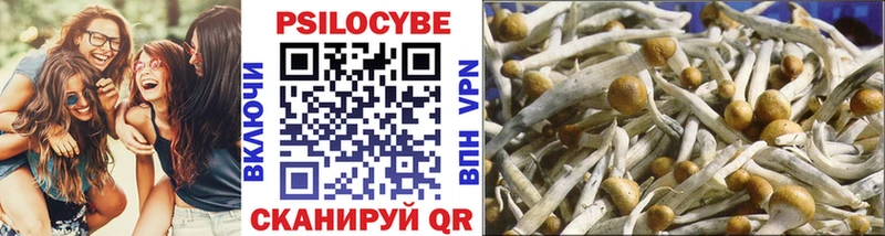 Псилоцибиновые грибы GOLDEN TEACHER  Петрозаводск 