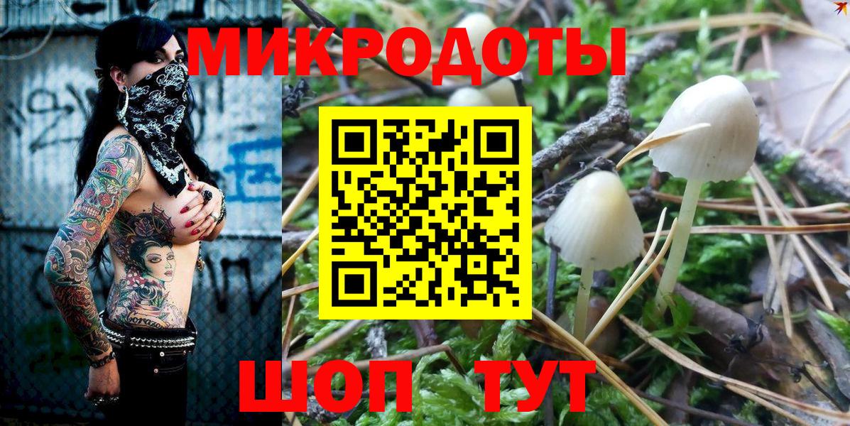 Петрозаводск  Псилоцибиновые грибы GOLDEN TEACHER  Псилоцибиновые грибы GOLDEN TEACHER  Вход с VPN 
