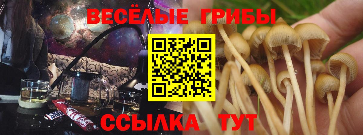 Псилоцибиновые грибы мухоморы Петрозаводск
